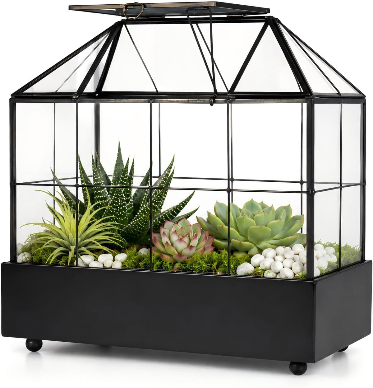 large tall plant terrarium glass – glass greenhouse, main product view