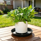 NIMYAU Plant Saucer 6 Inch 4 Pack,Thick Plastic with Raised Center Design Plant Saucers 8 10 12 14 17, Superior Drainage Drip Tray for Indoor Outdoor Planters (6 inch)