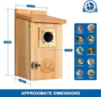 SISTERBIRD 2 Pack Bird Houses for Outside Clearance with Copper Guard, Cedar Bird House Outdoor, Bluebird Finch Swallow Wren Chickadee Assembly Required
