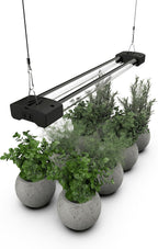 BoostGro LED Grow Light Full Spectrum Linkable 5000K Daylight + 660nm Red Indoor Plant Lighting Fixture (2 FT, Black)