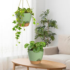 ZMTECH 8 Inch Hanging Planters for Indoor Outdoor Plants, 2 Pack Self Watering Hanging Plant Pots with Drainage Holes and Removable Saucer, Plastic Flower Hanging Pots with Watering Lip (Green)