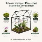 large tall plant greenhouse terrarium glass with lid shown in use