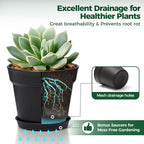 T4U 6 Inch Plant Pot 8-Pack, Plastic Planter with Drainage Hole and Saucer, Decorative Nursery Pots Bulk for African Violet, Snake Plant, Succulent, Herb and Plants Indoor (8 Pcs 6" Pots, Black)