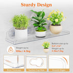 Lifewit Window Plant Floating Shelves 14.6x3.6, 3 Pack Acrylic Suction Cup Shelf, Window Sill Extender for Indoor Succulent Plants, Micro Greens, Seed Starter Pots, Herb Planters 37 x 9 cm/14.6x3.6