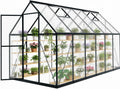 hooyeah 6x12 ft polycarbonate greenhouse for outdoors, walk-in, main product view