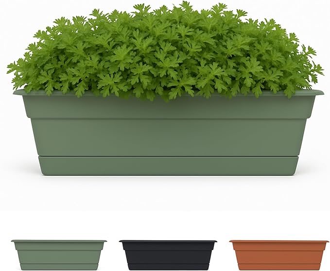 Bloem Dura Cotta 18" Basil Resin Rectangle Window Box Planter with Saucer Tray for Indoor and Outdoor Gardening