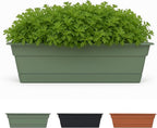 Bloem Dura Cotta 18" Basil Resin Rectangle Window Box Planter with Saucer Tray for Indoor and Outdoor Gardening