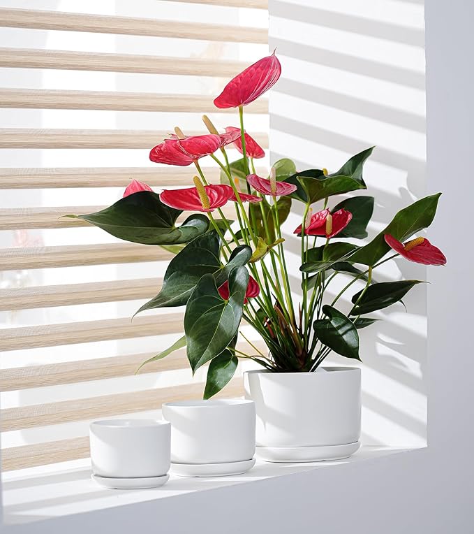 Ton Sin Plant Pots, 4.1+5.1+6.5 inch, Set of 3, Ceramic Planters with Drainage Hole and Saucer, Indoor Flower Pot Gifts for Mom（Matte Black）