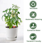Terracotta Ollas Watering Pots, 2 PCS Slow Release Plant Watering Globes Terracotta Self Watering Planter Insert, Holds 15 Oz Water Automatic Watering System for Potted Plants While On Vacation
