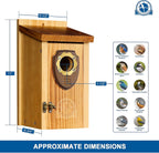 SISTERBIRD Pack of 2 Bluebird Houses for Outside, Premium Wooden Bird House, Bluebird House for Outdoor, Courtyard Decoration Bird Nest, Bluebird Finch Swallow Wren Chickadee