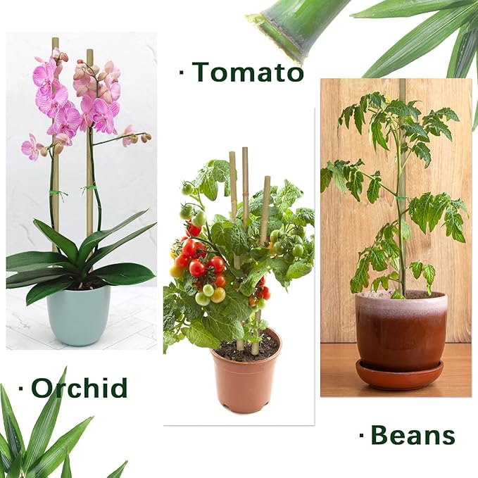 Plant Stakes,16 Inches Natural Garden Bamboo Sticks,BOVITRO 20Pcs Plant Support Stakes for Tomatoes,Beans,Vegetable and Potted Plants