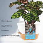 12-Inch Self Watering Planters with Drainage Holes, Large Flower Pots for Indoor Outdoor Plants, Garden Pots White 3 Pack