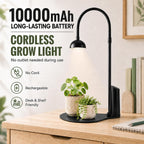 rechargeable grow light,cordless desk lamp for indoor small shown in use