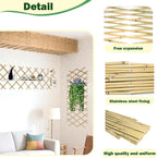 jollybower 48x72 inch expandable bamboo trellis, garden lattice shown in use