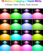 ZUCKEO All-in-One RGB Low Voltage Landscape Lighting Kit, 5W LED Color Changing Landscape Lights with Transformer and 120FT Wire, Outdoor Spotlights for Halloween Christmas Yard Garden Decor, 12Pack