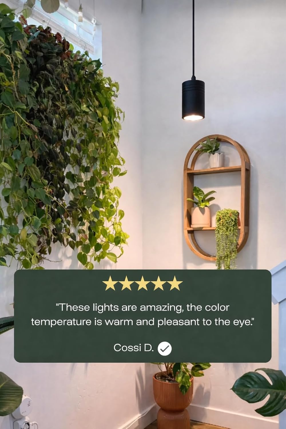 Aspect Soltech Gen 2 – World’s First Decor Grow Light | Black High-Output LED Pendant Grow Light for Indoor Plants | Warm White, Natural Light | Dimmable