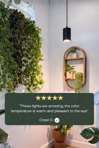 Aspect Soltech Gen 2 – World’s First Decor Grow Light | Black High-Output LED Pendant Grow Light for Indoor Plants | Warm White, Natural Light | Dimmable