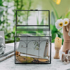 ncyp glass terrarium with lid for cacti, moss on a desk or shelf