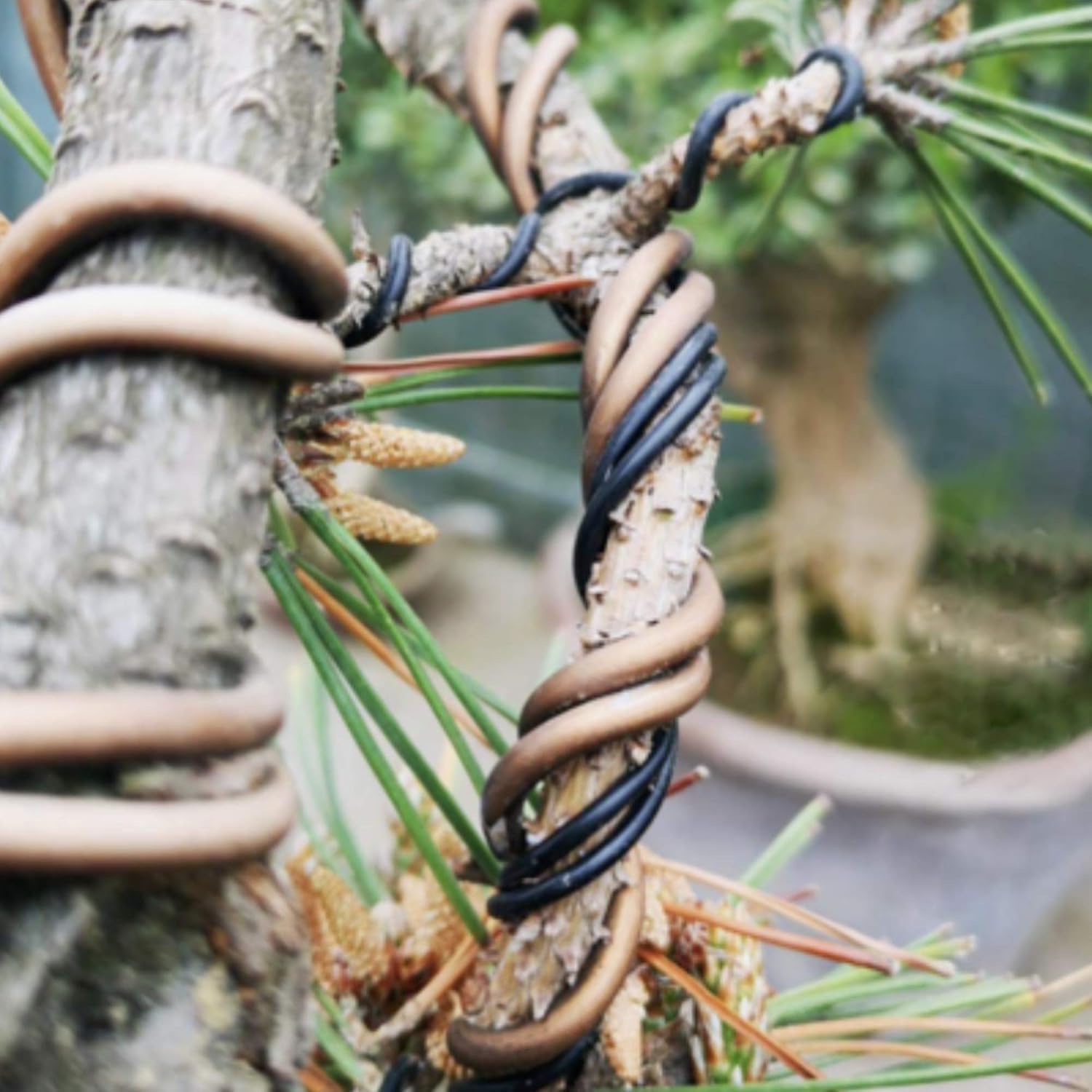 Leaves & Soul Bonsai Wire Kit with Cutter, Bonsai Training Wire Set 160ft | Plant Training Wire Set with Aluminum Wire, Cutter & Canvas Bag for Shaping Bonsai & Small Trees for Beginners & Pros.