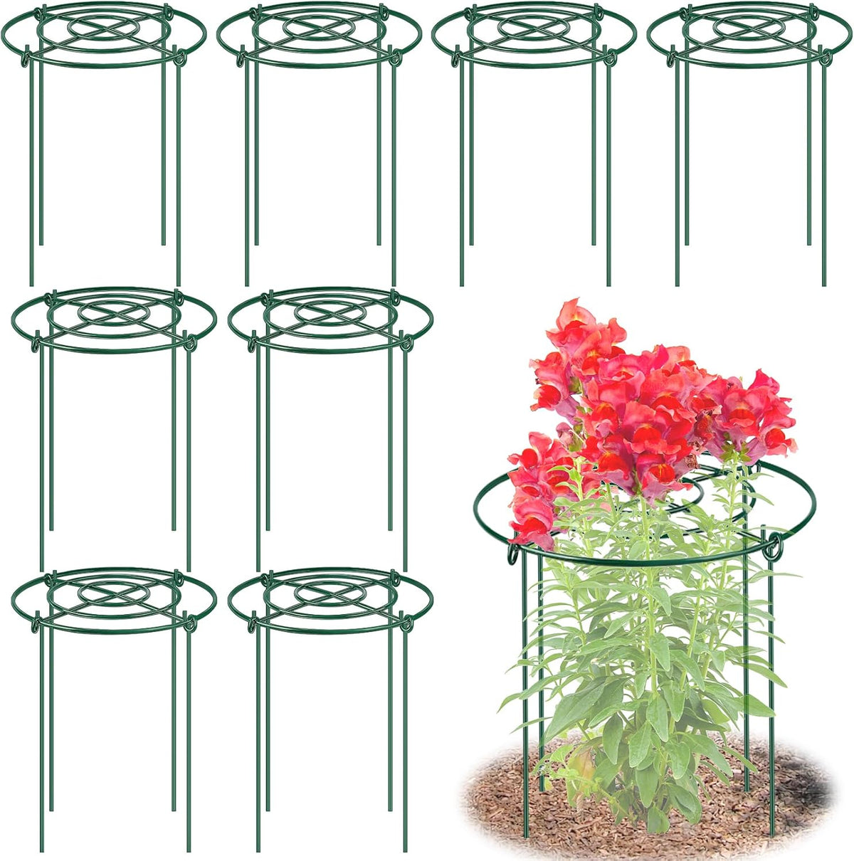 peony cages and supports, 11.5" dx16 h metal, main product view