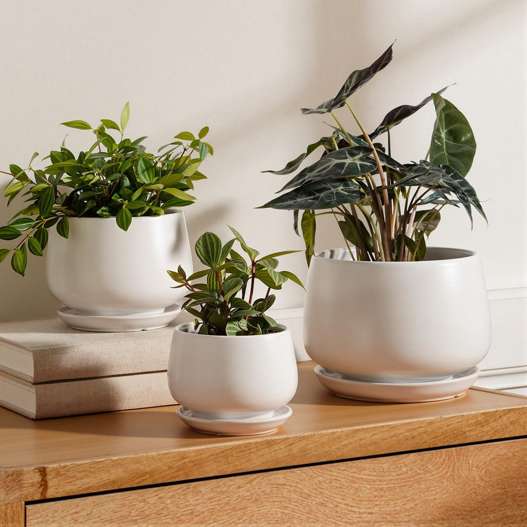 le tauci ceramic plant pots, 4.1+5.1+6.5 inch, set, main product view