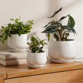 le tauci ceramic plant pots, 4.1+5.1+6.5 inch, set, main product view