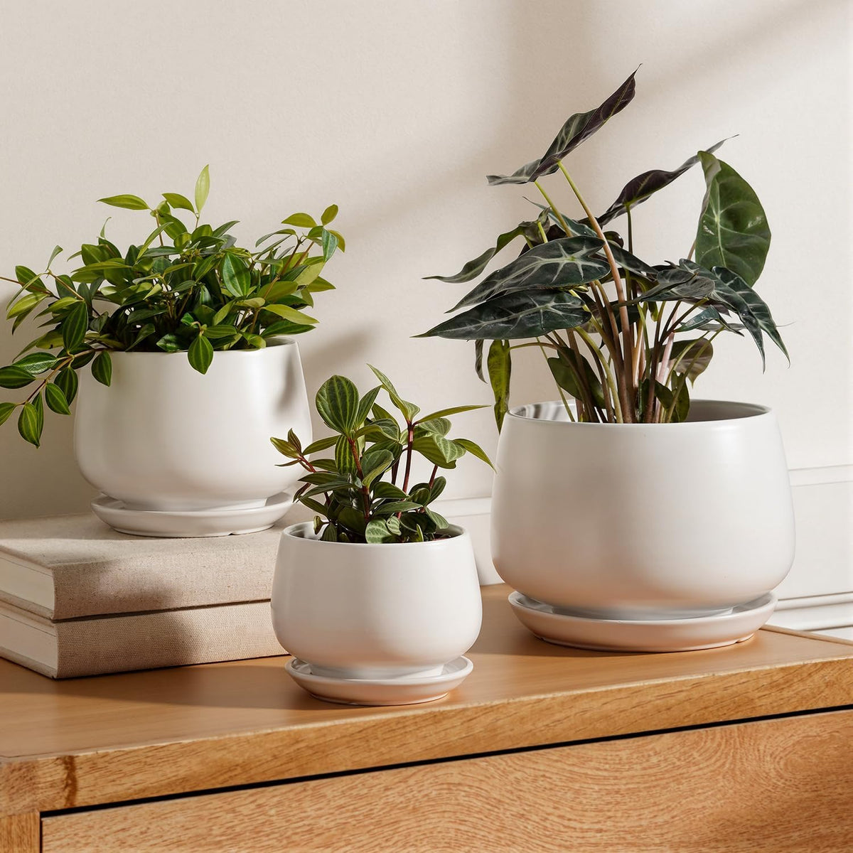 le tauci ceramic plant pots, 4.1+5.1+6.5 inch, set, main product view