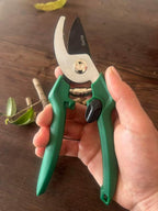 Bypass Pruning Shears, 3/8-Inch Cut Capacity Garden Clippers, Gardening Scissors with Sharp, Rust Resistant Steel Blade (Green, 3/8'')