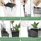 Self Watering Pots Set, 3 Pack 2.7 Inch Pots for Indoor Plants, Clear Nursery Planter with Deep Reservoir for Succulents, Seedlings, Small Plants