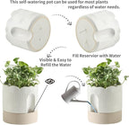 Nihow Self Watering Plant Pot for Indoor Plants : 6 Inch & 8 Inch Ceramic Planter with Drainage Hole & Water Storage - Relief Design Beige & Nature Flower Pot -Set of 2