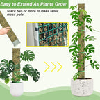 60"/40"/24" Metal Moss Pole, D Shape Sphagnum Moss Pole, Moss Poles for Climbing Plants, Monstera, Indoor Climbing Plants (2 Each of 40" 24")