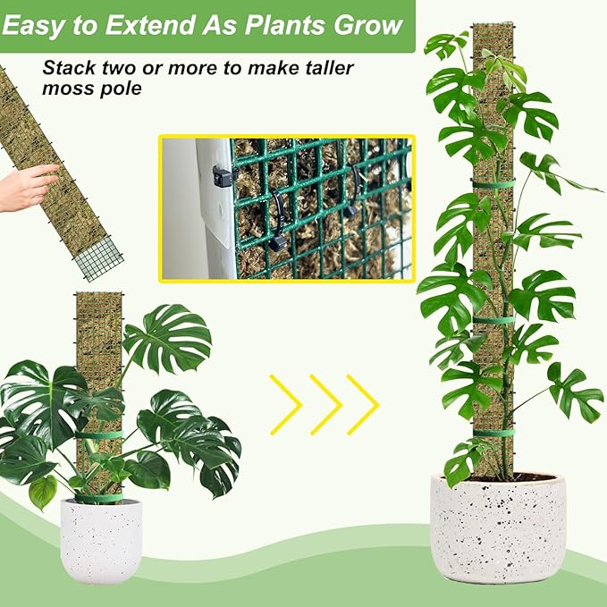 60"/40"/24" Metal Moss Pole, D Shape Sphagnum Moss Pole, Moss Poles for Climbing Plants, Monstera, Indoor Climbing Plants (6Pcs 24")