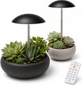 small grow lights for indoor plants, 2 pack, main product view