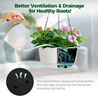 T4U 10 Inch Hanging Planters for Indoor Plants, 2 Pack White Self Watering Hanging Plant Pot, Hanging Pots Set with Drainage Hole & Plug & Chain with 3 Hooks for Garden Home Decor