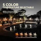 LEONLITE 12-Pack Update 5CCT LED Low Voltage Deck Lights, 180LM 3.5inch Landscape Step Railing Fence Light, 12-24V AC/DC, CRI90, Die-cast Aluminum Housing & Frosted Glass Lens, UL Cord, Satin Nickel