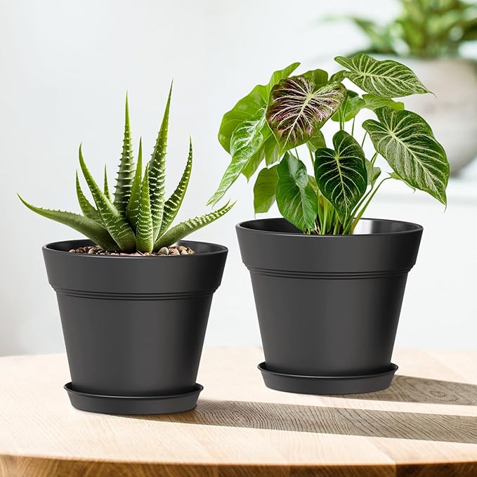 4 Inch Plastic Plant Pots with Drainage Holes and Trays – 8 Pack Small Nursery Pots for Indoor & Outdoor House Plants and Flowers, Seedling Starter Planters, Matte Black