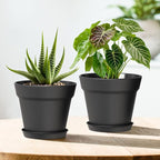 4 Inch Plastic Plant Pots with Drainage Holes and Trays – 8 Pack Small Nursery Pots for Indoor & Outdoor House Plants and Flowers, Seedling Starter Planters, Matte Black