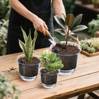Plant Pots 6/5/4 inch Set of 3, Self Watering Pots for Indoor Outdoor Plants Flowers, Self Watering Planters with Reservoir, Drainage Hole and Absorbent Cotton Rope