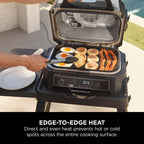 Ninja Woodfire XL Flat Plate, Non-Stick Flat Top BBQ Griddle Plate | Official Accessory, Compatible with Ninja Woodfire XL BBQ Grill OG850 / OG901, Black, XSKOGXLFPLTEU