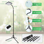 2026 Full Spectrum Grow Light with Stand, 25 Watt Bright Grow Lights for Indoor Tall Plants, Bonsai Tree, Auto On/Off Daily Timer(4/8/12/16/20H), Adjustable Stand 24"-78"