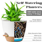 Indoor Plant Pots for Lazy People, 5Pack White Plastic Self Watering Planter Pots for Houseplants,Succulent, African Violets,Snake Plants, Flowers and Cactus(7/6.5/6/5.5/5 Inch)
