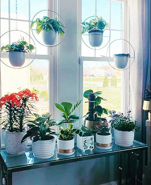 2 Pack Hanging Planters for Indoor Plants with 5.5" Pot + Ceiling Hook + Extender Chain | Hanging Plant Holder, Metal Minimalist Planter, NO Plant incld
