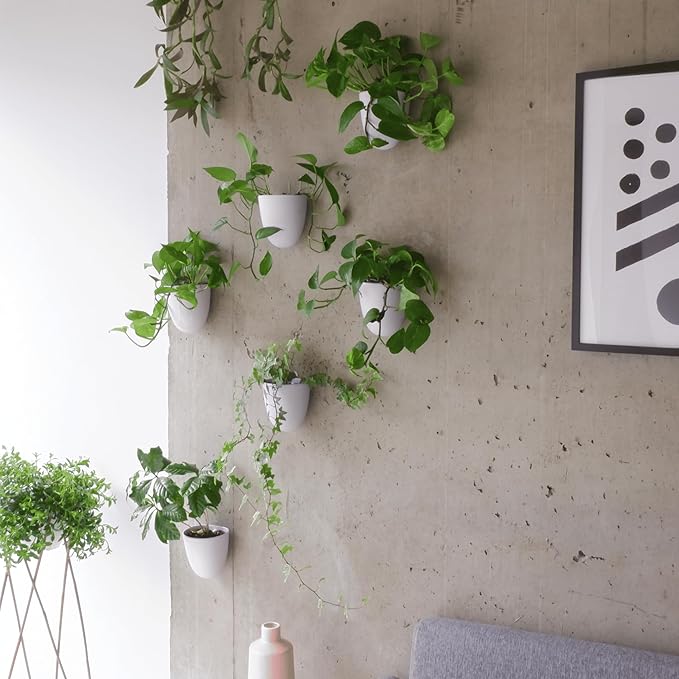 Make Good PlantPod Luxe - Self-Watering Wall Planters (Set of 6) - Easy to Water and Install - Lightweight - Design Your Own Vertical Garden - Wall Planters for Indoor Plants
