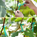 2 Pcs 150 Feet x 1/2" Wide Stretch Tie Tape Green Plant Garden Tie, Garden Vinyl Stake for Branches, Climbing Planters, Flowers