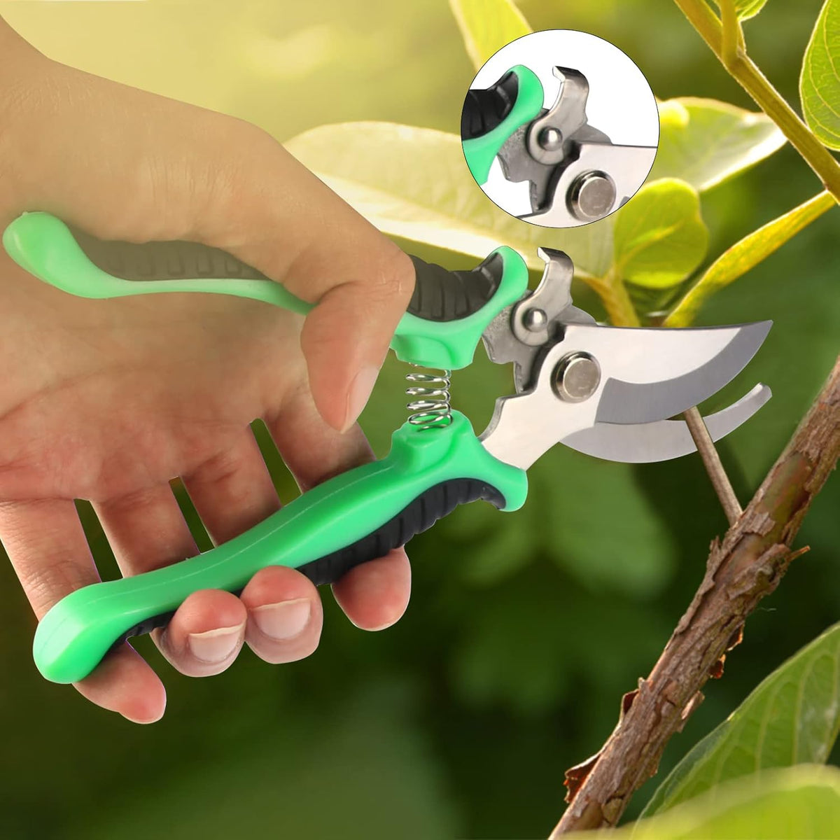bonsai tree kit, 20 pcs gardening succulent tools showing dimensions