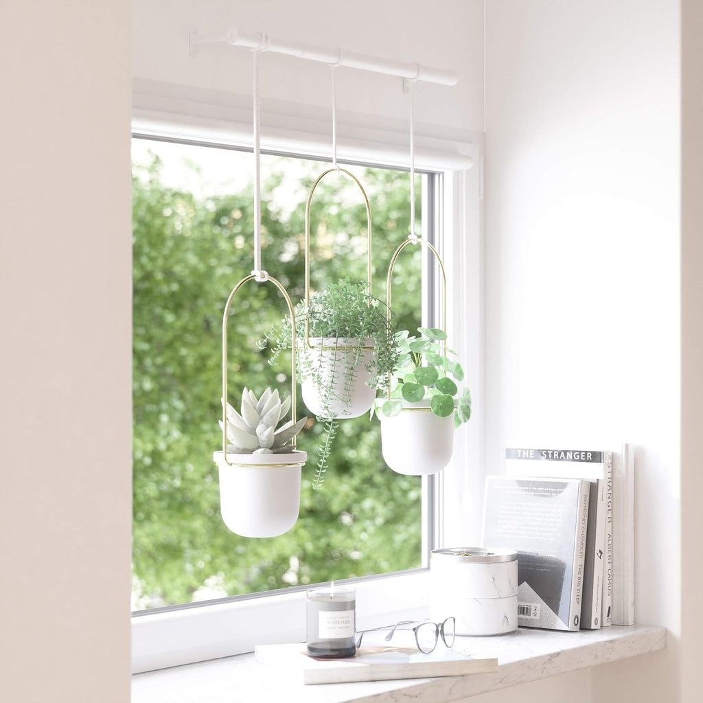umbra triflora hanging planter, indoor herb garden, set, view 9