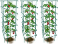 happy trees large heavy duty folding tomato cages, main product view