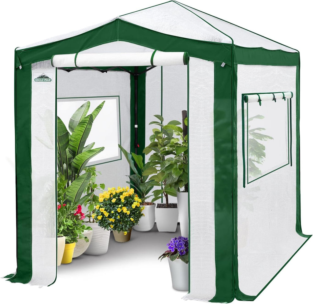 eagle peak 8x6 walk in pop up greenhouse shown in use