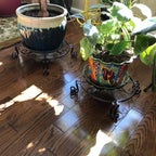 Black Plant Stand for Flower Pot Heavy Duty Potted Holder Indoor Outdoor Metal Rustproof Iron Garden Container Round Supports Rack for Planter Bronze, Pumpkin Stand Outdoor……