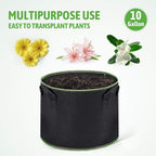 Delxo 10 Gallon Grow Bags 10 Pack for Planting, Fabric Pots Plants Growing Bags with Handles Heavy Duty Aeration Thickened Nonwoven